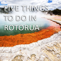 5-things-to-do-in-Rotorua